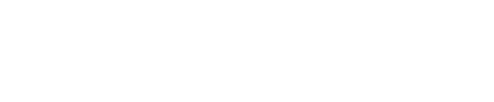 Nighthawk Custom