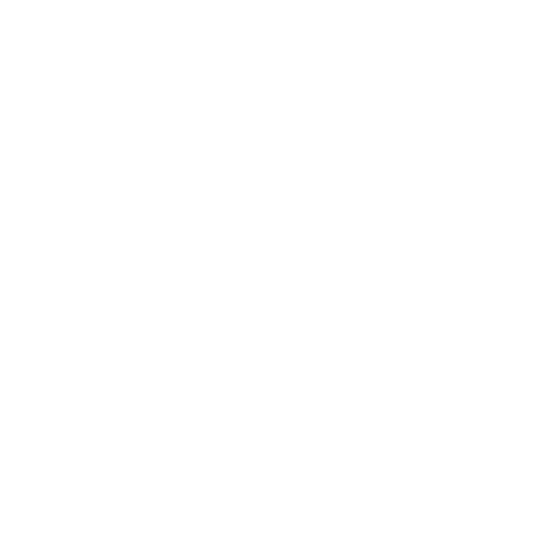 Venom Custom LLC